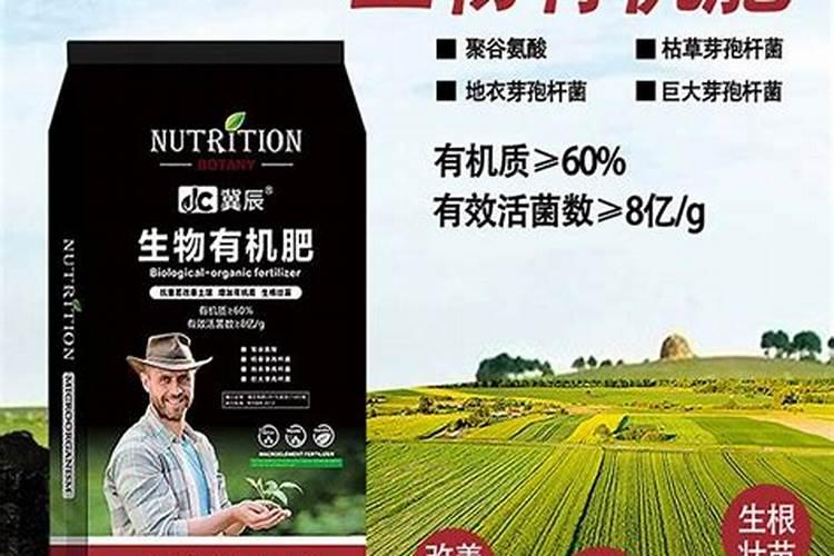 草莓如何施肥 草莓怎么施肥