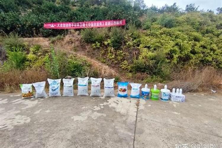 李子树什么时候施肥,施什么肥好