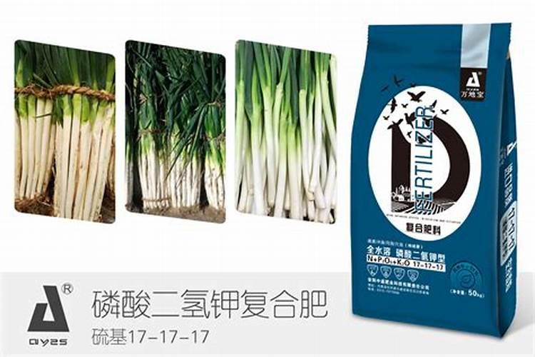大葱如何追肥