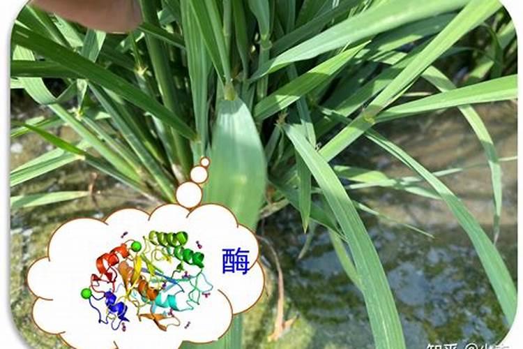 化肥是怎样提炼出来的？分别讲氮,磷,钾肥源头