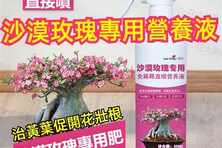 芹菜苗冲施2氢钾肥好吗