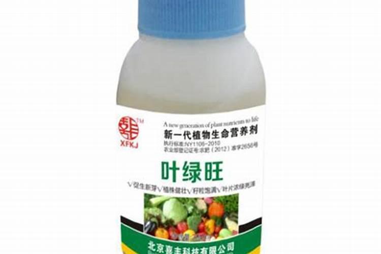 绿萝叶面肥怎么做