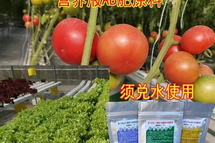 天脊硝酸磷肥肥效多久