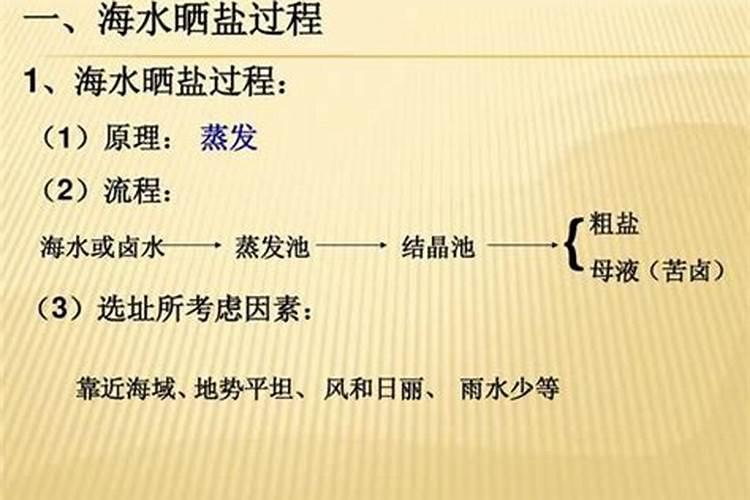 冬瓜冬天可以种植吗