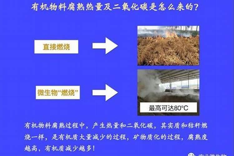 商丘丰登肥业有限公司怎么样？