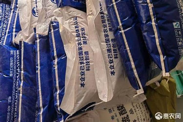草莓西红柿的种植方法和管理技术