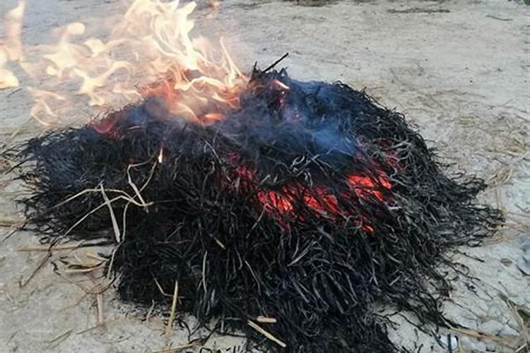 罗汉果施肥过多,造成罗汉果裂果怎么办