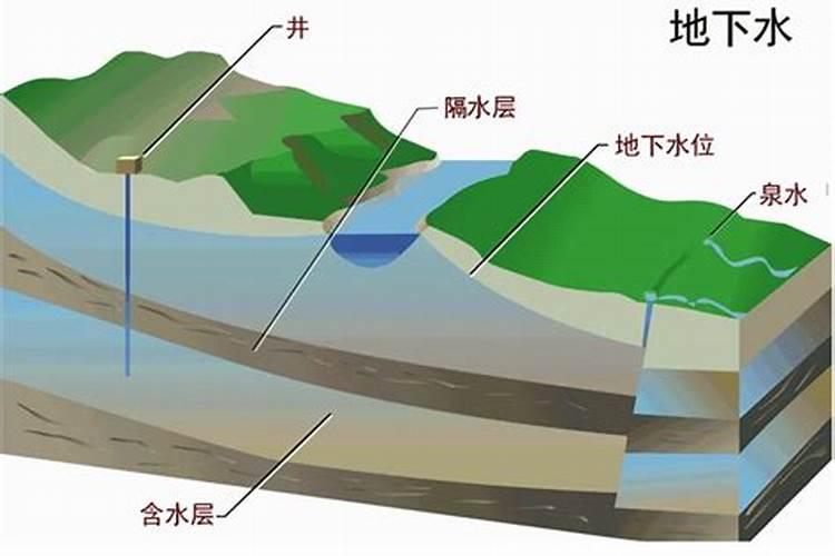 兔场如何处理兔子的粪便