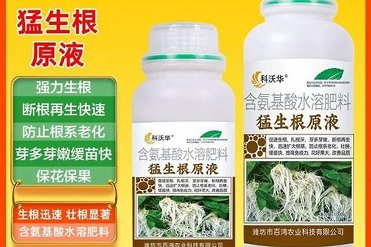 红薯喷什么肥能快速生根发芽