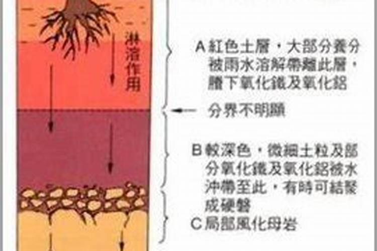 氮肥损失途径有哪些？