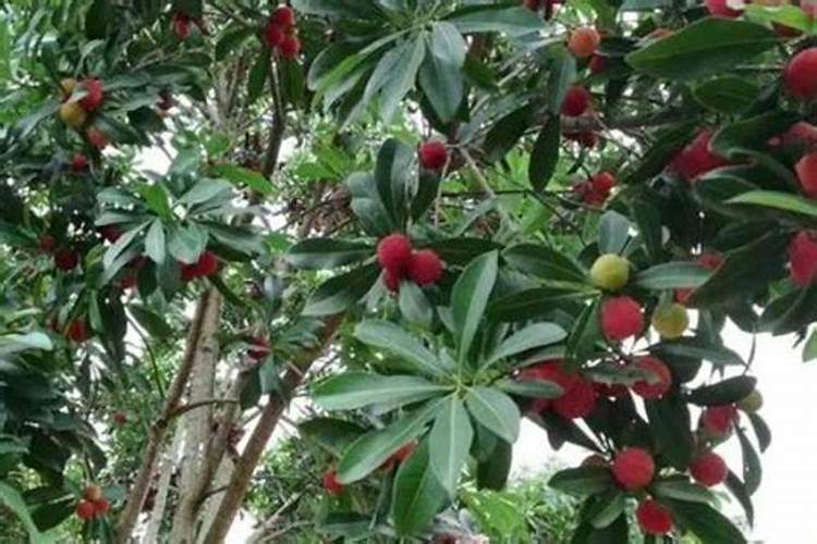 1包50千克复合肥15~15~15的复合肥,氮,磷,钾各有几斤,怎么计算？？