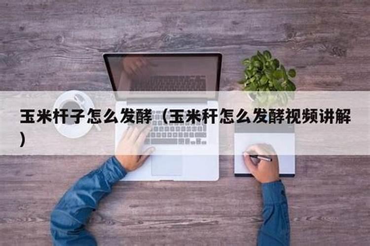 玉米发酵做肥料