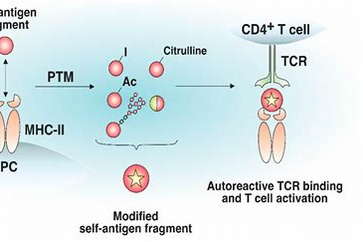 服用中药不可不知的禁忌有哪些？