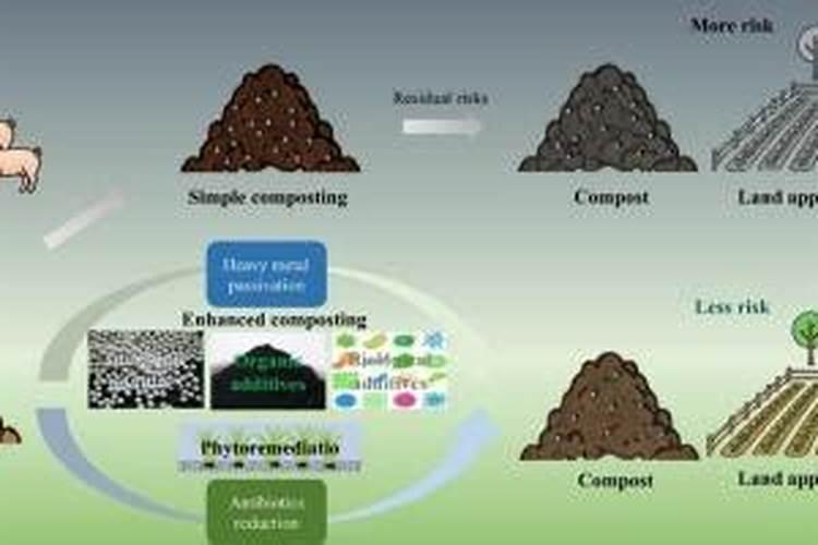 大白菜打农药吗,怎么清洗最干净呢