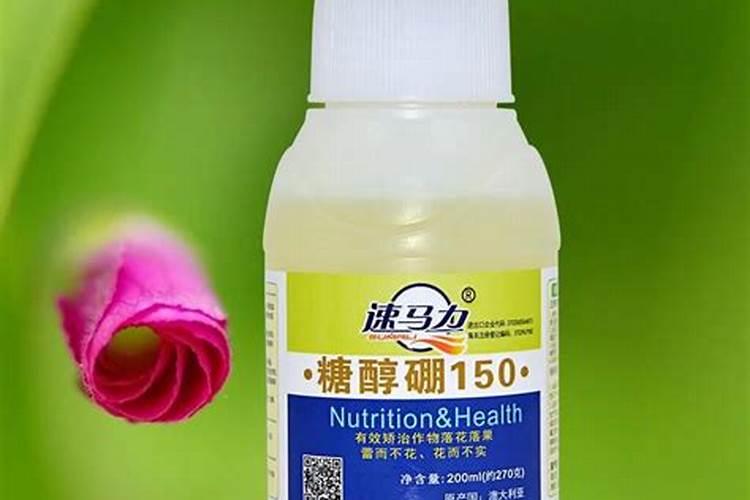 钙肥和硼肥能一起用吗