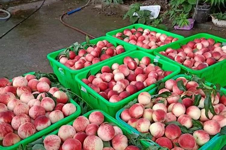 怎么在汽车上安装一个水箱