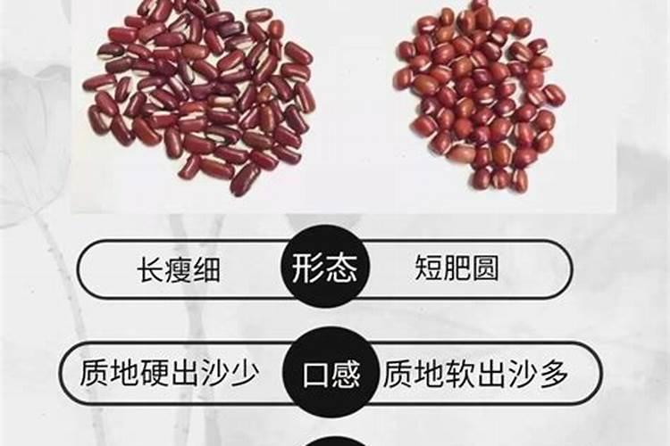 山东省的花生价格是多少钱一斤？那里收购？