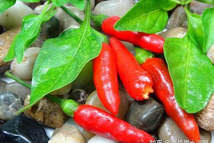 大量元素母液配置时为什么要注意各种药品的混合顺序