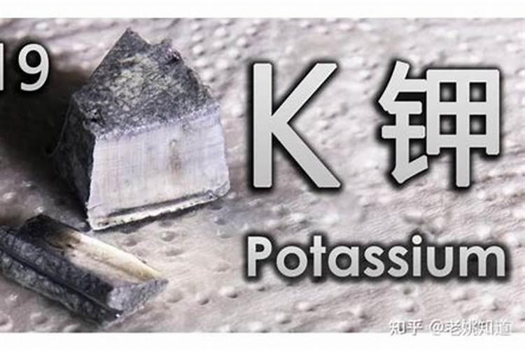 海南省农业技术学校有什么专业