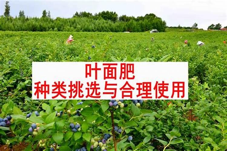 自制氨基酸叶面肥的配方是什么？