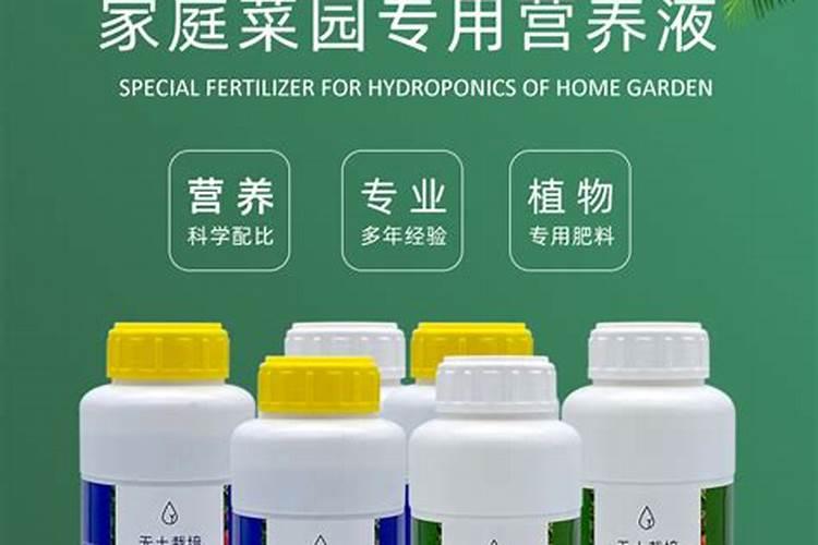 多肉植物用什么肥料最好