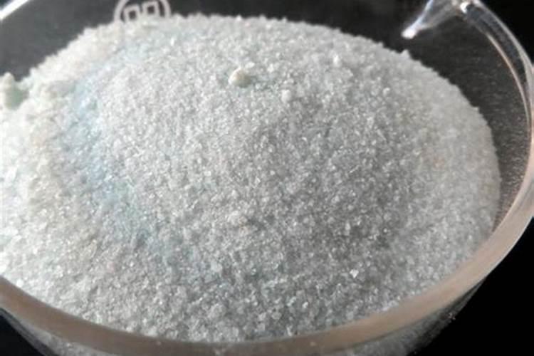 来氧绿植,那绿植究竟如何养？