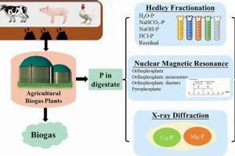 大便肥和尿肥,哪个肥力高？