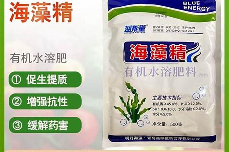 海藻精是酶解的好还是多肽好