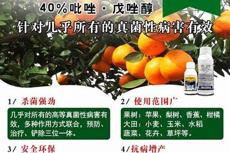 硫酸钾属于什么肥料