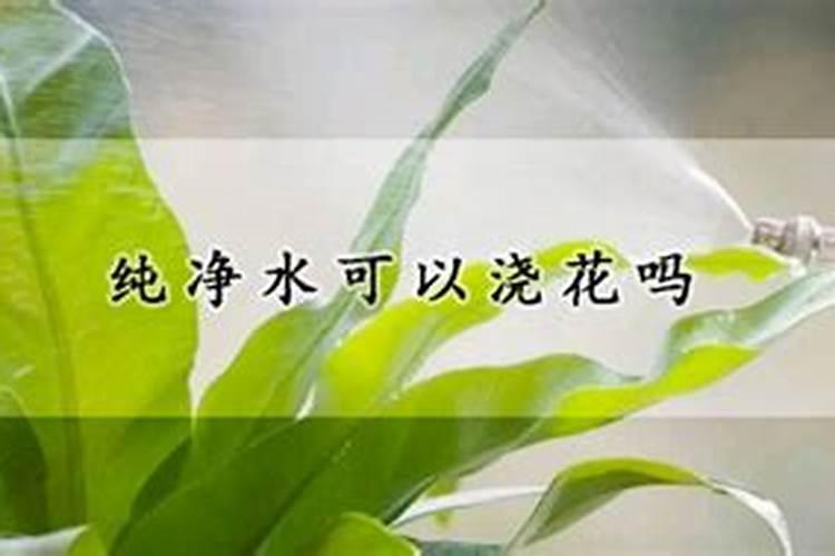 施肥的几大误区!这可能就是你的产量没别人高的原因