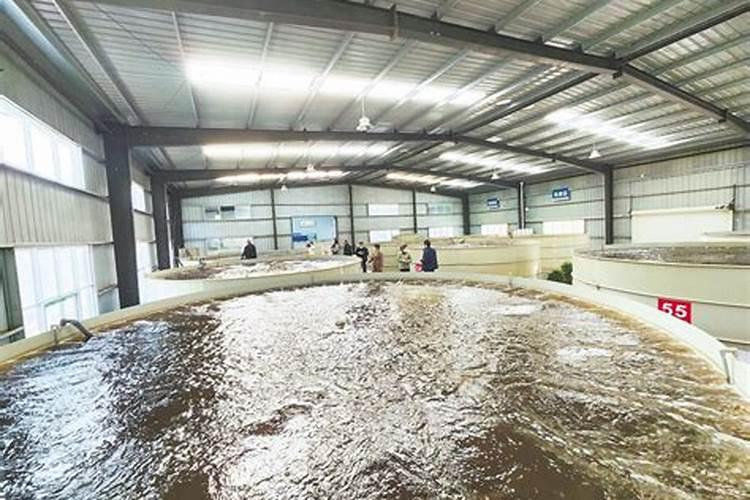 水容肥给果树多久施肥一次