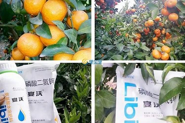 1个保花保果小配方,瓜果蔬菜开花前后喷2次,大部分植物都适用百度知 ...