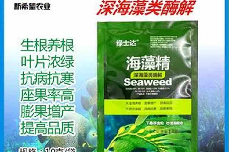 阳光玫瑰葡萄保果和膨大为什么加海藻精？