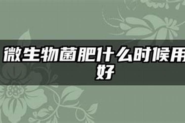 生物菌肥,究竟该如何施用才合理？