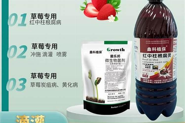 硝酸钾在西红柿上怎么施用