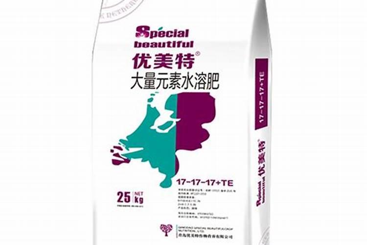 橙子树种植技术