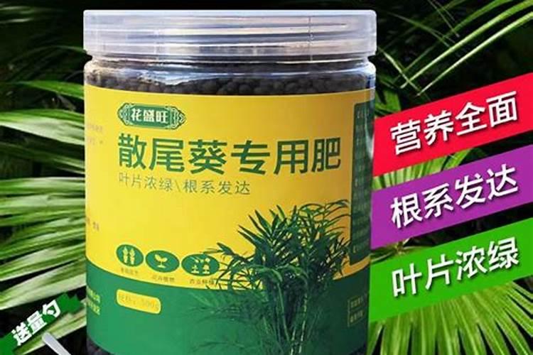 铵态氮是什么肥料