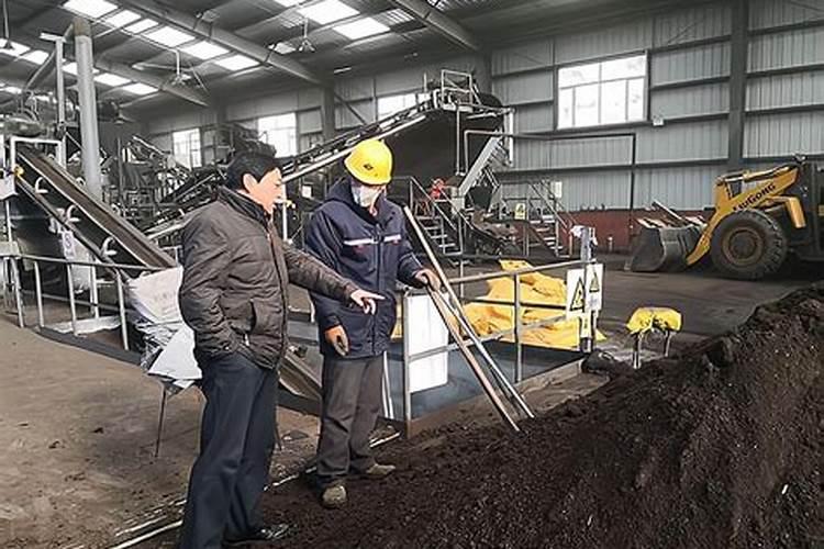 黄瓜施肥的正确方法