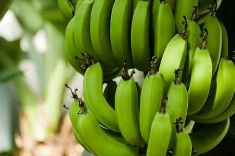 小麦种植时间和方法