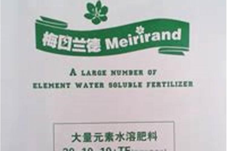 白灰是生石灰吗