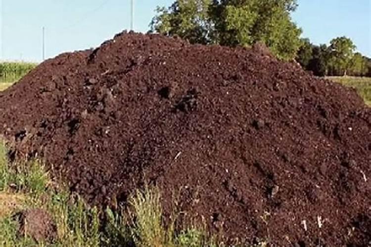 快速自制氮肥的方法,氮肥是什么肥