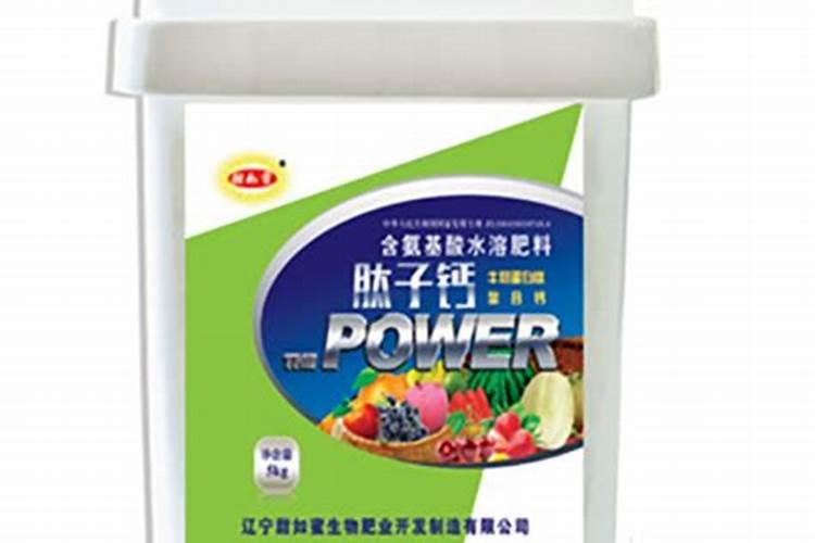 多肉植物什么季节施肥