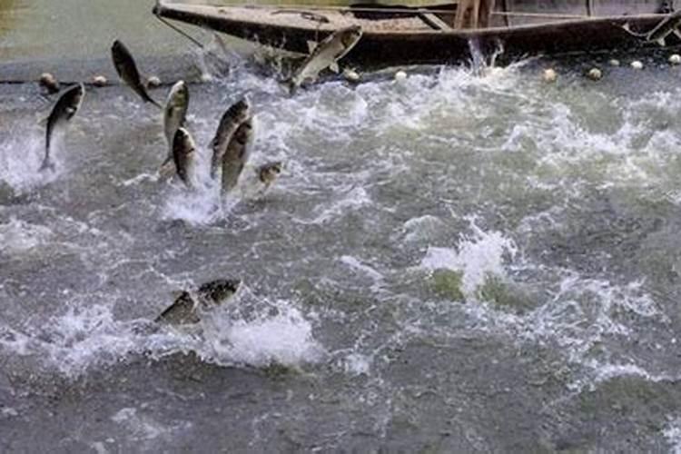 新疆人在不同季节吃牛肉有什么不同选择？