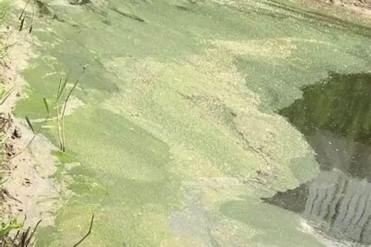 水稻施肥一览表