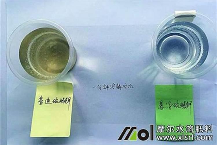 苹果树施钾肥正当时