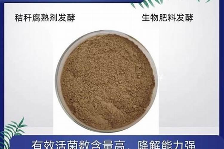 石榴树用什么肥料最好