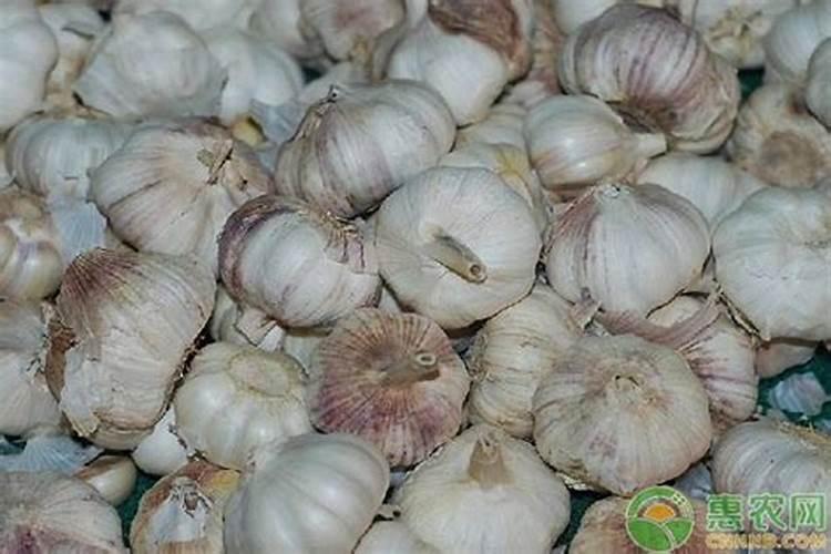 三个字商标名字