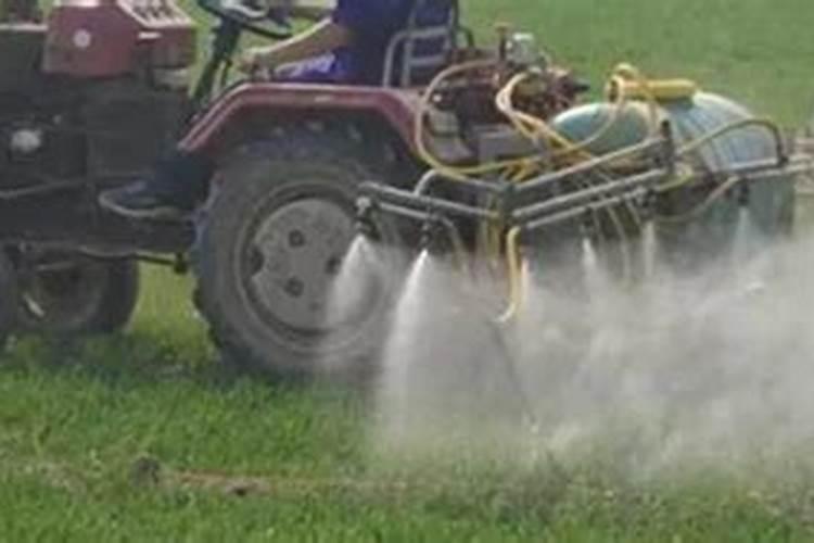 控旺剂能和芸苔素一起使用吗