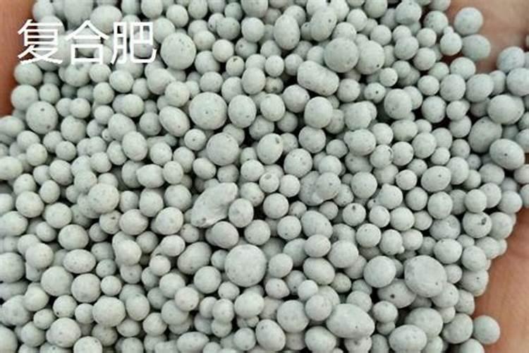 磷酸二氢钾和复合肥哪个好