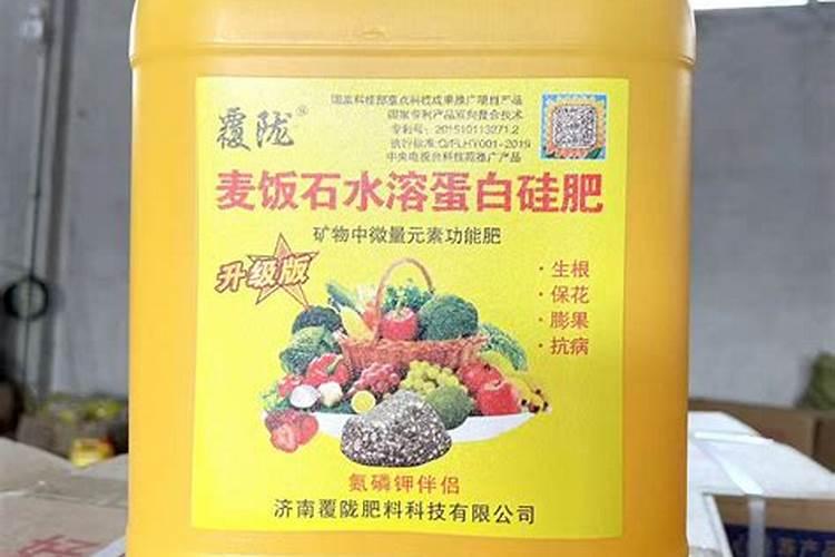 浇花可以浇在叶子上(浇花能喷在花朵上吗)